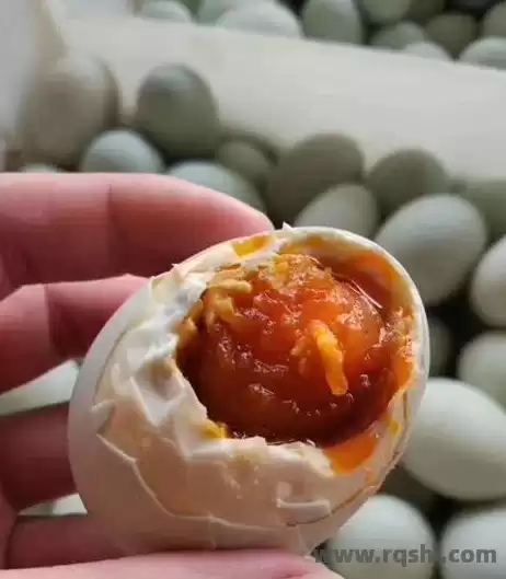 寻味任丘：大美任丘美食密码 任丘美食推荐 白洋淀红心鸭蛋 火烧夹驴肉 罗圈烧饼 任丘大锅菜 第5张