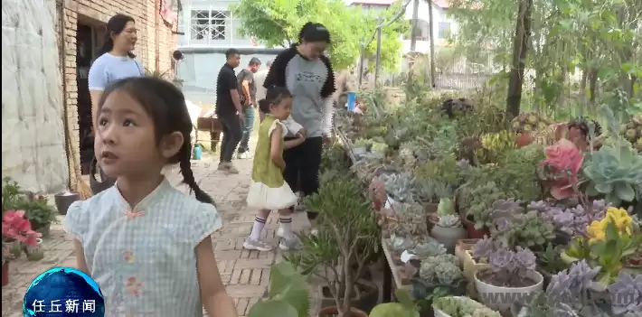 党建红点燃生态绿！任丘郝家铺村亲子旧物改造实践课“玩”出环保新高度 任丘郝家铺村，永丰路街道，沧州乡村治理，亲子科普活动，多肉DIY，废旧物品利用 第2张